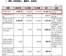 正在控股股东易成制的企业名单中