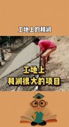 若是你具有丰硕的项目办理经验和优良的团队协